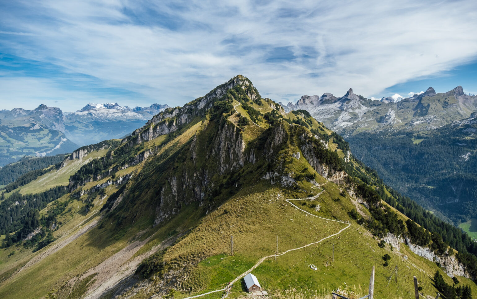 Bergen Collection EKOFLOORS