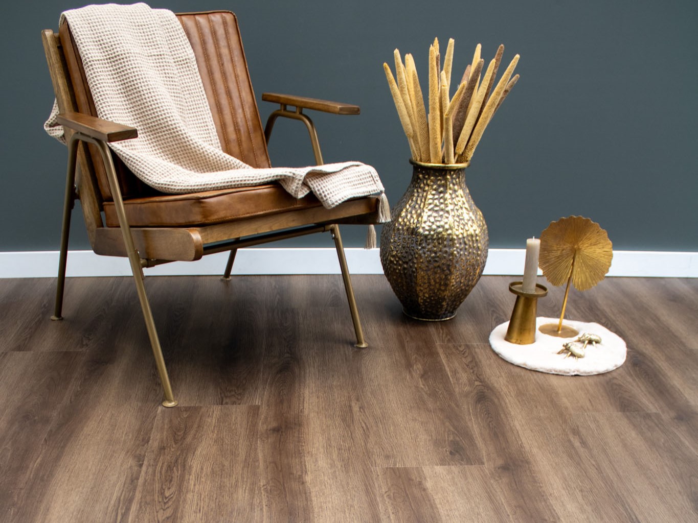 Cuba Solid sfeerfoto